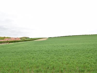 Picture 15